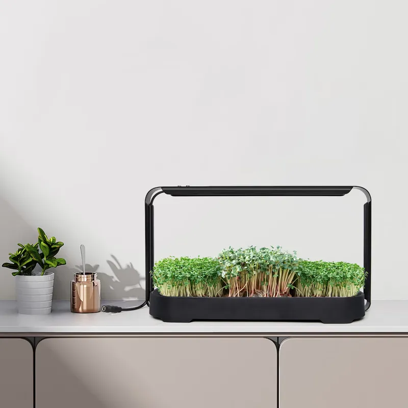 Self Watering Planter - Système de culture hydroponique à arrosage