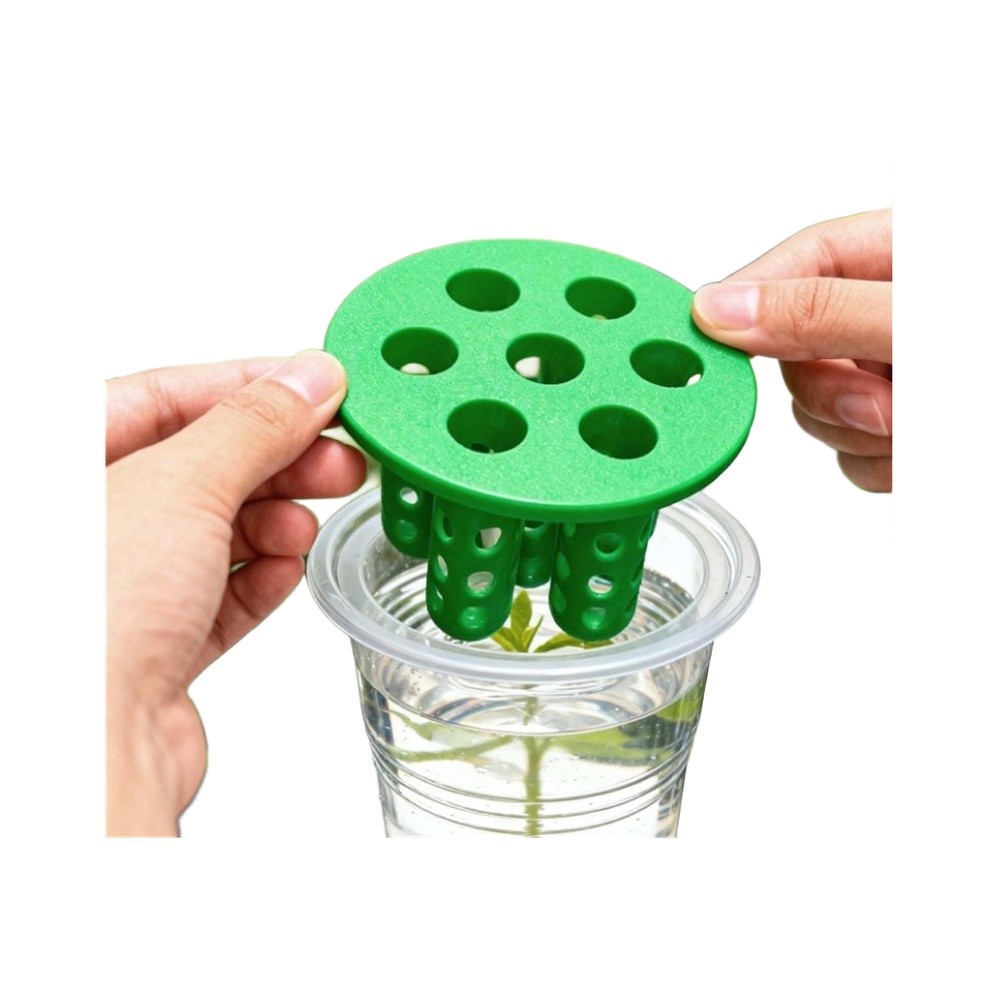 Hydroponic Kit - Kits de germination pour oignon vert