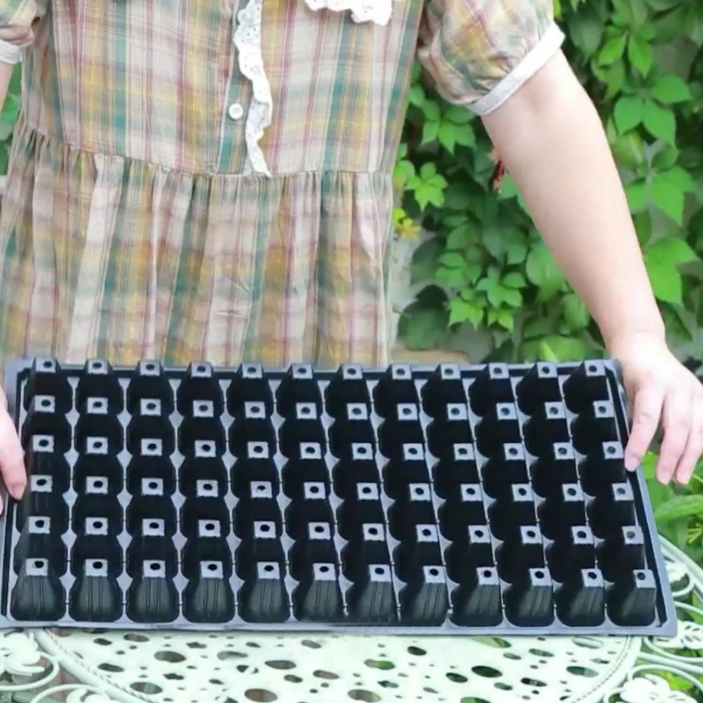 Pot d'étiquette de plante Anti - Seed Starter Tray avis et prix
