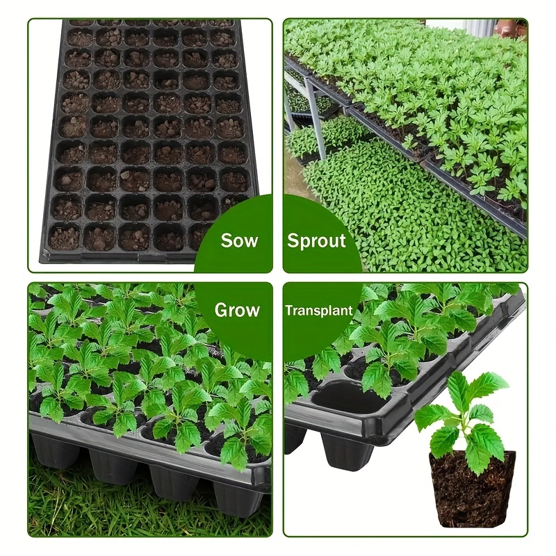 Plateau de semis 10-20, platea - Seed Starter Tray avis et prix