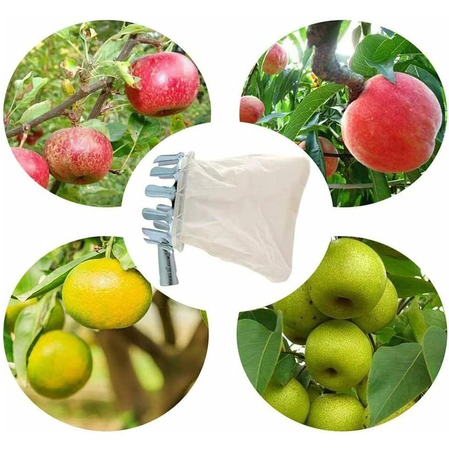 Ensemble d'outils de cueillett - Grow Bag avis et prix
