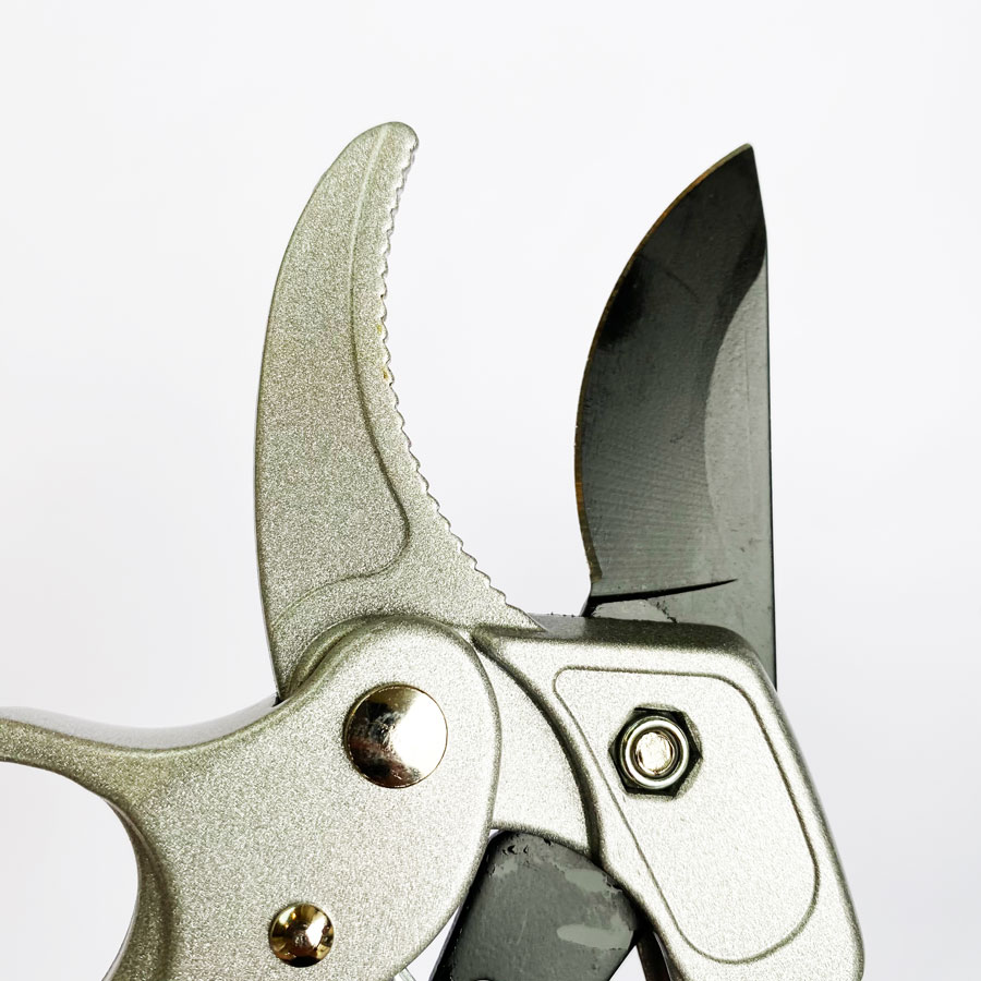 Sécatrices à cliquet professio - Pruning Shears avis et prix
