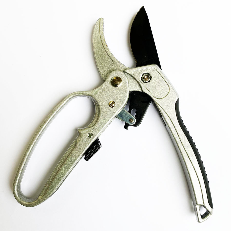 Sécatrices à cliquet professio - Pruning Shears avis et prix
