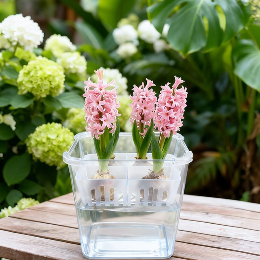 Vase hydroponique pour tulipes - Plant Pot avis et prix