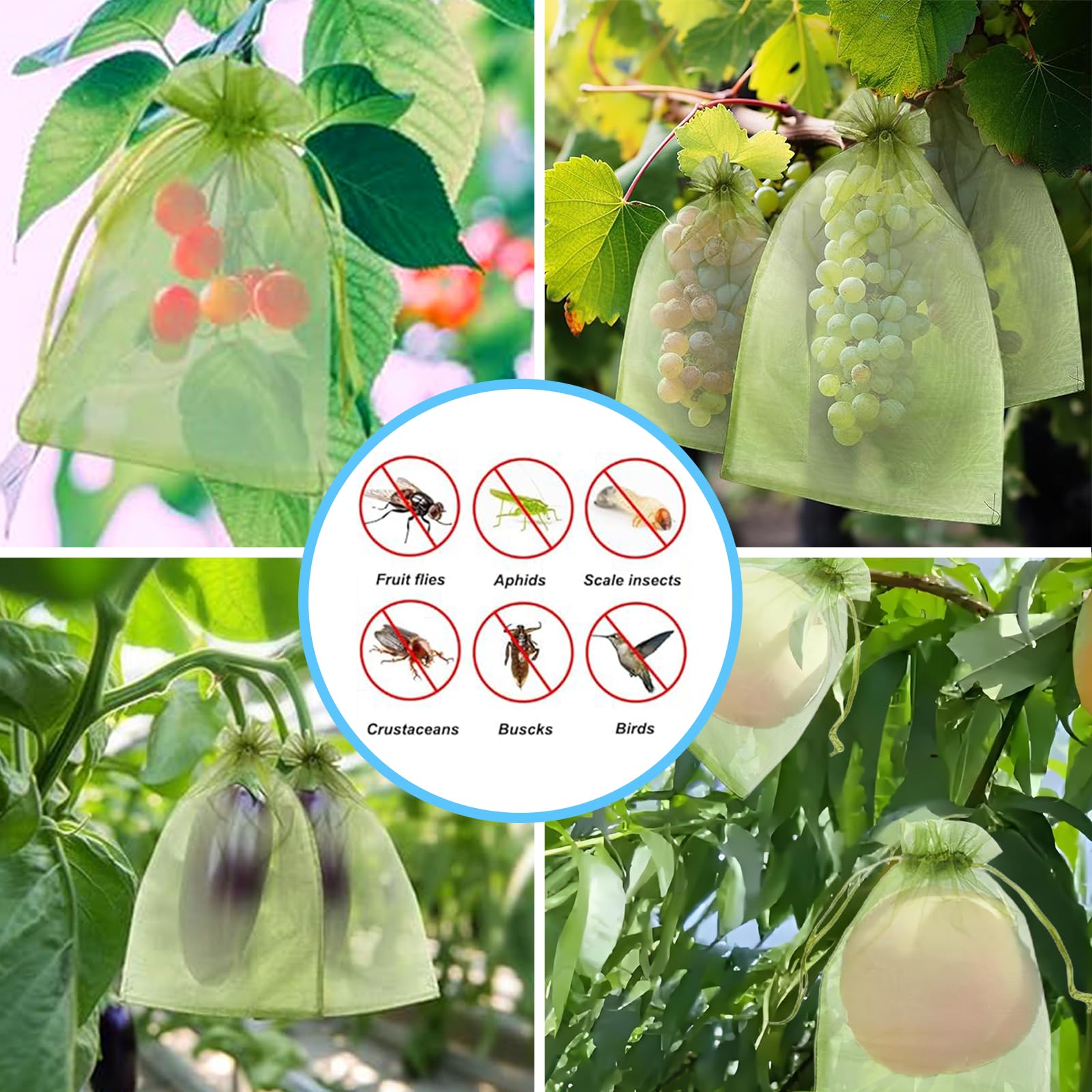 Filet anti-oiseaux efficace, s - Grow Bag avis et prix