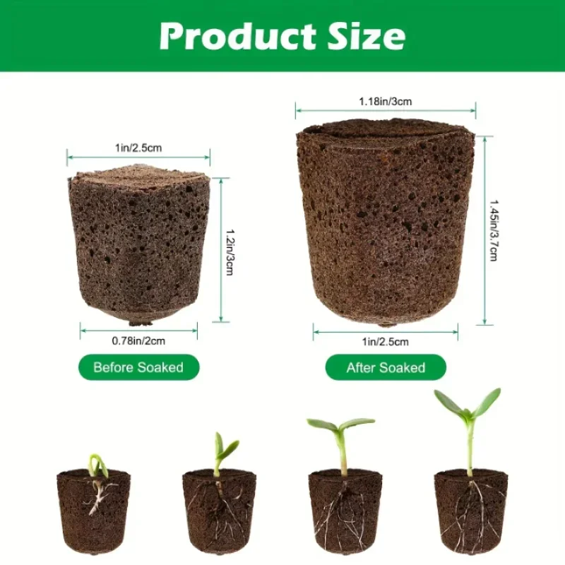 Kit de démarrage de semis en é - Hydroponic Kit avis et prix