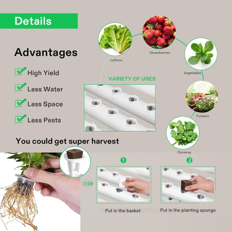 Système de culture hydroponiqu - Hydroponic Kit avis et prix