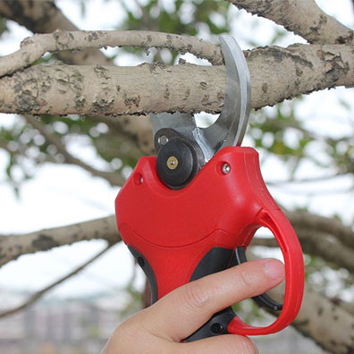 Sécateurs électriques sans fil - Pruning Shears avis et prix