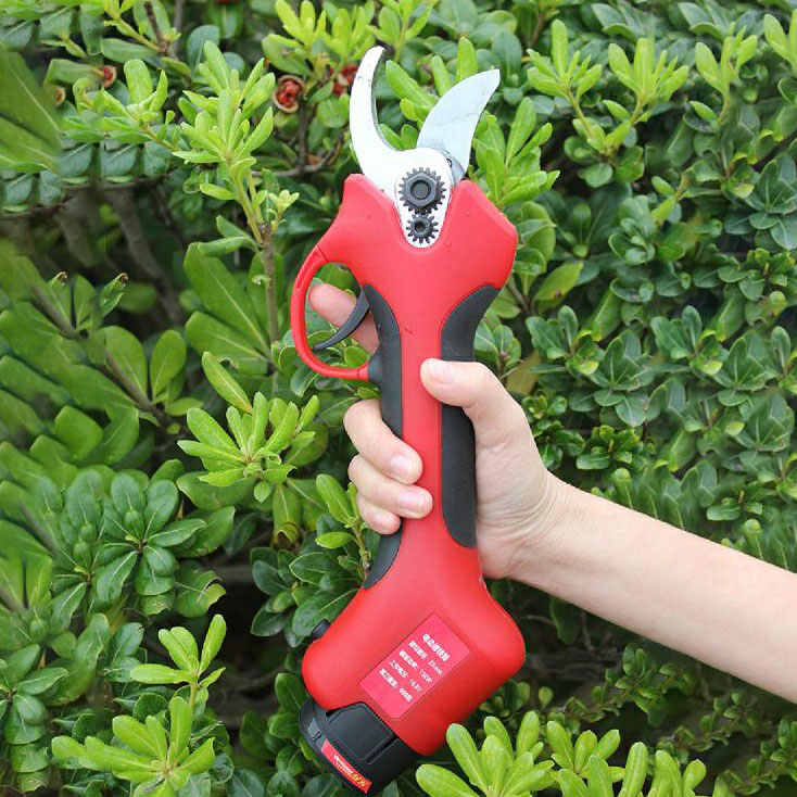 Sécateurs électriques sans fil - Pruning Shears avis et prix